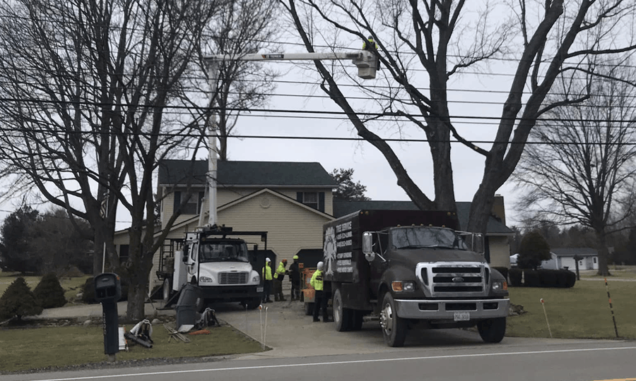 North Ridgeville Tree Cutting Services Wilson Tree Service
