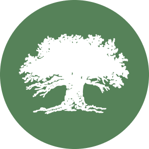 Wilson Tree Circle Icon Green