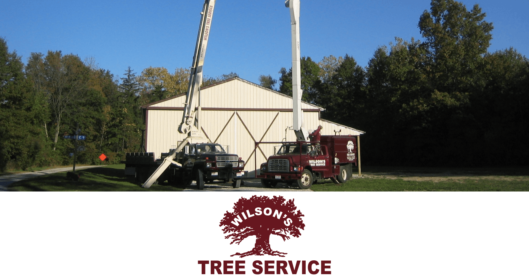 Wilson Tree Service Featured Image