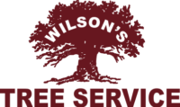 Wilson Tree Service Mobile Logo